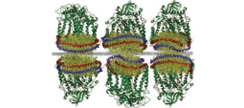 Photoelectrochemical complexes for solar energy conversion that chemically and autonomously regenerate