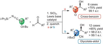 <i>N</i>-silyl oxyketene imines are underused yet highly versatile reagents for catalytic asymmetric synthesis