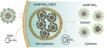 Recognition-mediated activation of therapeutic gold nanoparticles inside living cells
