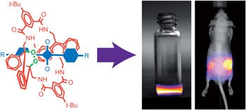 Storable, thermally activated, near-infrared chemiluminescent dyes and dye-stained microparticles for optical imaging