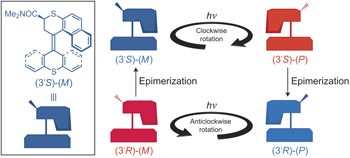 Reversing the direction in a light-driven rotary molecular motor