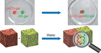 Macroscopic self-assembly through molecular recognition