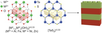 Coexistence of superconductivity and magnetism by chemical design