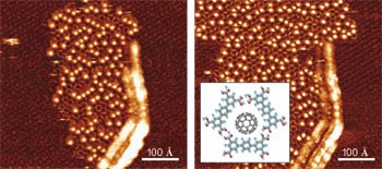 Guest-induced growth of a surface-based supramolecular bilayer