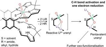 Uranyl oxo activation and functionalization by metal cation coordination