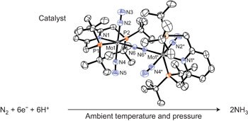 A molybdenum complex bearing PNP-type pincer ligands leads to the catalytic reduction of dinitrogen into ammonia