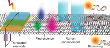 Graphene oxide as a chemically tunable platform for optical applications