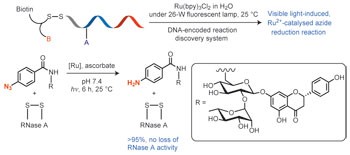 A biomolecule-compatible visible-light-induced azide reduction from a DNA-encoded reaction-discovery system