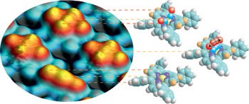 <i>Cis</i>-dicarbonyl binding at cobalt and iron porphyrins with saddle-shape conformation