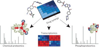 Systems-pharmacology dissection of a drug synergy in imatinib-resistant CML