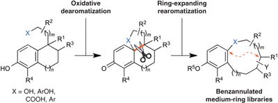 Biomimetic diversity-oriented synthesis of benzannulated medium rings via ring expansion
