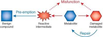 Metabolite damage and its repair or pre-emption