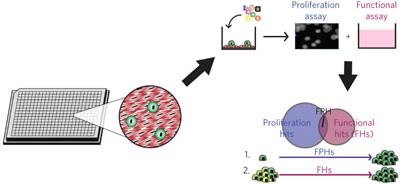 Identification of small molecules for human hepatocyte expansion and iPS differentiation