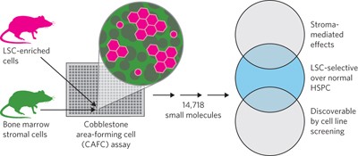 Niche-based screening identifies small-molecule inhibitors of leukemia stem cells