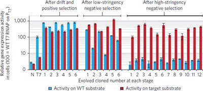 Negative selection and stringency modulation in phage-assisted continuous evolution