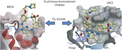 Dual kinase-bromodomain inhibitors for rationally designed polypharmacology