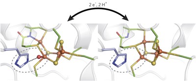 Reversible [4Fe-3S] cluster morphing in an O<sub>2</sub>-tolerant [NiFe] hydrogenase