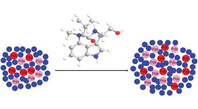 A small molecule that directs differentiation of human ESCs into the pancreatic lineage