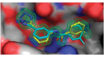 Molecular docking and ligand specificity in fragment-based inhibitor discovery