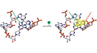 Direct measurement of the ionization state of an essential guanine in the hairpin ribozyme