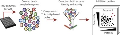 A high-throughput, multiplexed assay for superfamily-wide profiling of enzyme activity