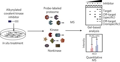 A road map to evaluate the proteome-wide selectivity of covalent kinase inhibitors