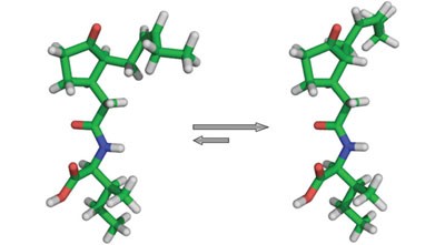 (+)-7-<i>iso</i>-Jasmonoyl-<span class="small-caps u-small-caps">L</span>-isoleucine is the endogenous bioactive jasmonate