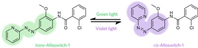 An allosteric modulator to control endogenous G protein-coupled receptors with light