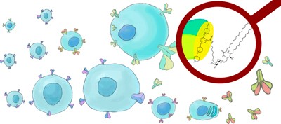 A semisynthetic carbohydrate-lipid vaccine that protects against <i>S. pneumoniae</i> in mice