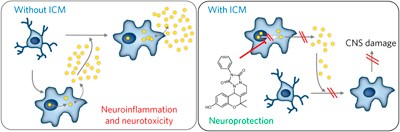 A small molecule binding HMGB1 and HMGB2 inhibits microglia-mediated neuroinflammation