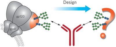 Recent strategies targeting HIV glycans in vaccine design