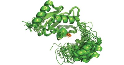 Intrinsic disorder drives N-terminal ubiquitination by Ube2w