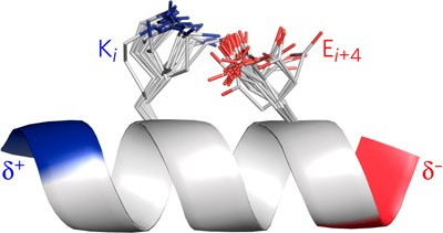 Local and macroscopic electrostatic interactions in single α-helices