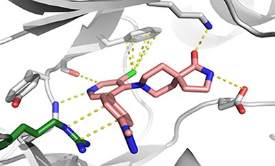 A selective chemical probe for exploring the role of CDK8 and CDK19 in human disease