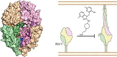 Molecular mechanism of respiratory syncytial virus fusion inhibitors