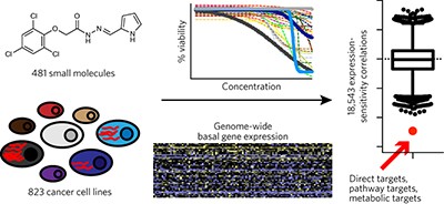 Correlating chemical sensitivity and basal gene expression reveals mechanism of action