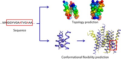 A topological and conformational stability alphabet for multipass membrane proteins