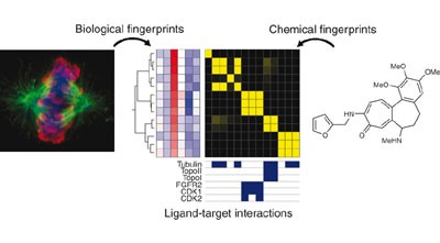 Integrating high-content screening and ligand-target prediction to identify mechanism of action