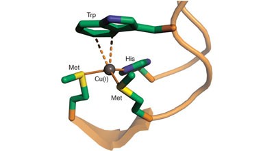 Cu(<span class="small-caps u-small-caps">I</span>) recognition via cation-π and methionine interactions in CusF