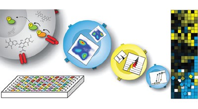 High-content single-cell drug screening with phosphospecific flow cytometry