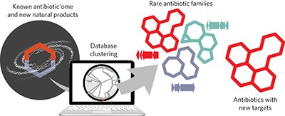 Assembly and clustering of natural antibiotics guides target identification