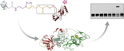 Probes of ubiquitin E3 ligases enable systematic dissection of parkin activation