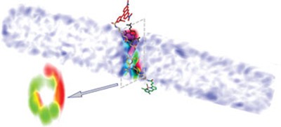 Progress and prospects for small-molecule probes of bacterial imaging