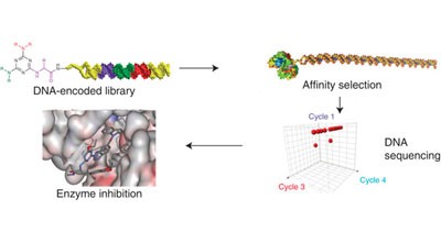 Design, synthesis and selection of DNA-encoded small-molecule libraries