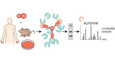 Target profiling of small molecules by chemical proteomics