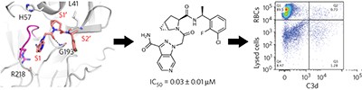 Small-molecule factor D inhibitors targeting the alternative complement pathway