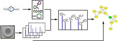 Dereplication of peptidic natural products through database search of mass spectra