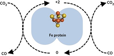 Activation and reduction of carbon dioxide by nitrogenase iron proteins