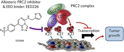 An allosteric PRC2 inhibitor targeting the H3K27me3 binding pocket of EED