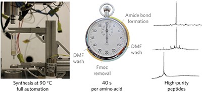 A fully automated flow-based approach for accelerated peptide synthesis